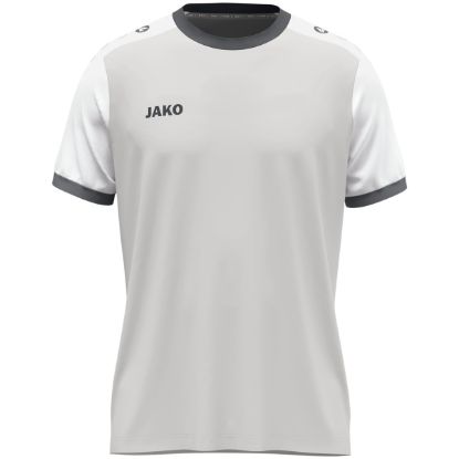 Afbeeldingen van Shirt Dynamic KM lichtgrijs/wit/grijs